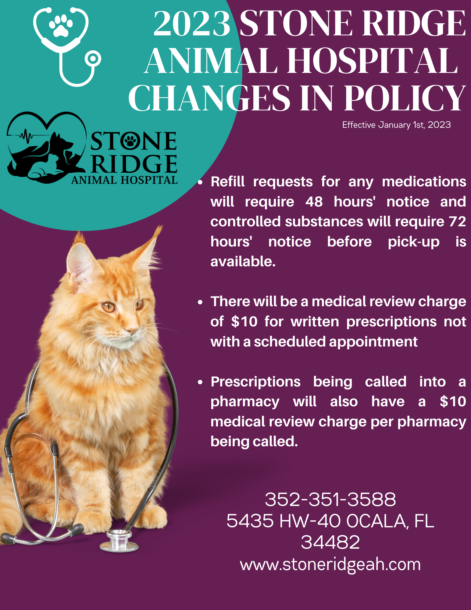 Veterinarian in Ocala, FL | Stone Ridge Animal Hospital