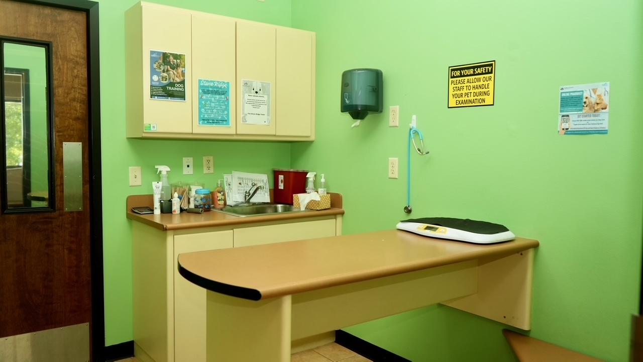 Pet Wellness in Ocala