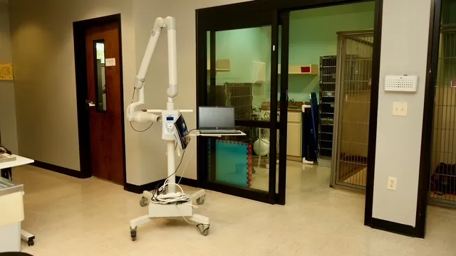 Veterinary services in Ocala, FL – Stone Ridge Animal Hospital