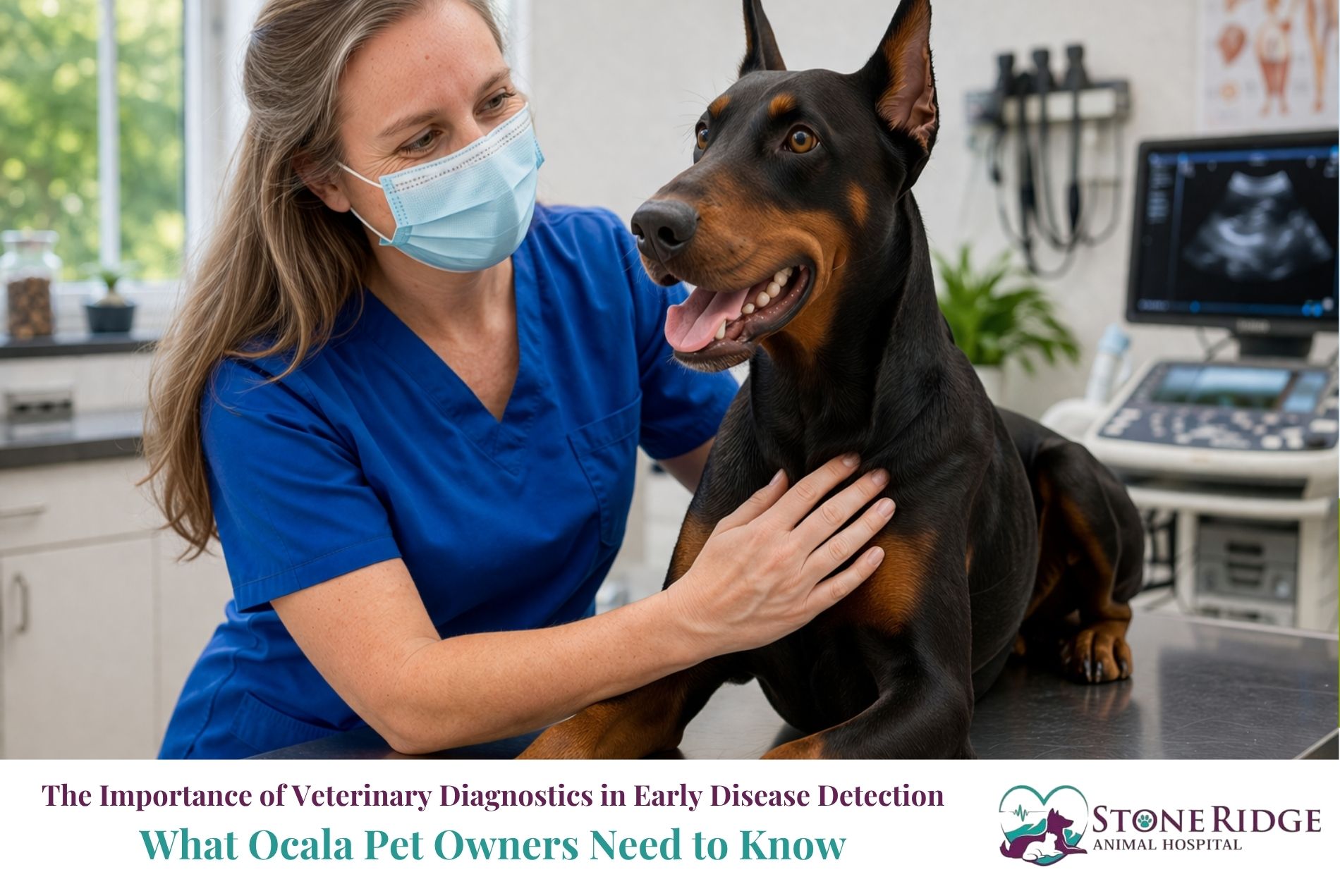 The Importance of Veterinary Diagnostics in Early Disease Detection